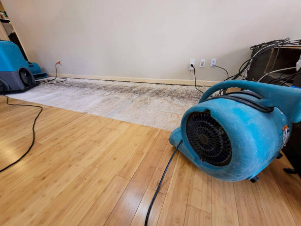 Professional Water Damage Repair technician working in Elsah, IL